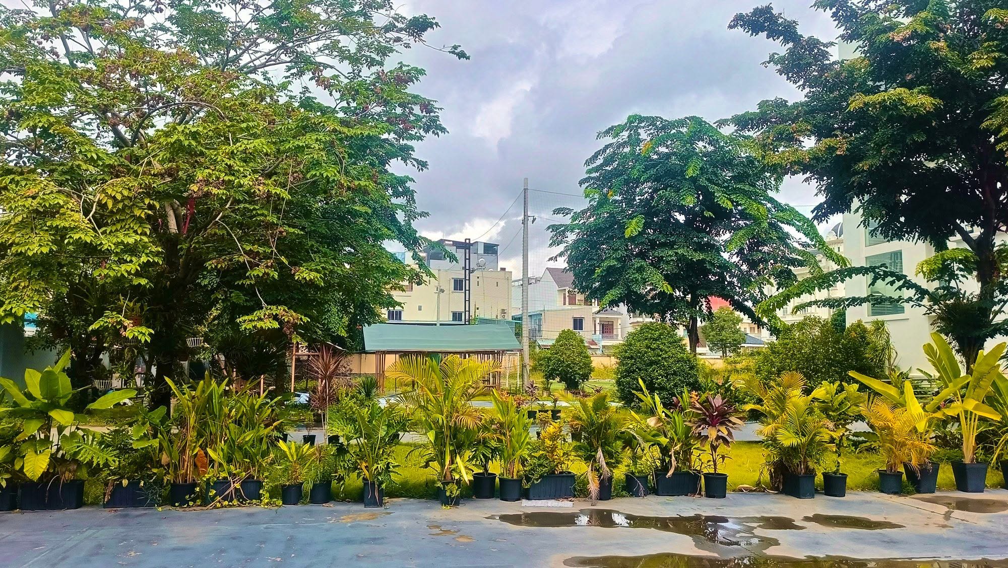 Hội Trường 500 Chỗ
